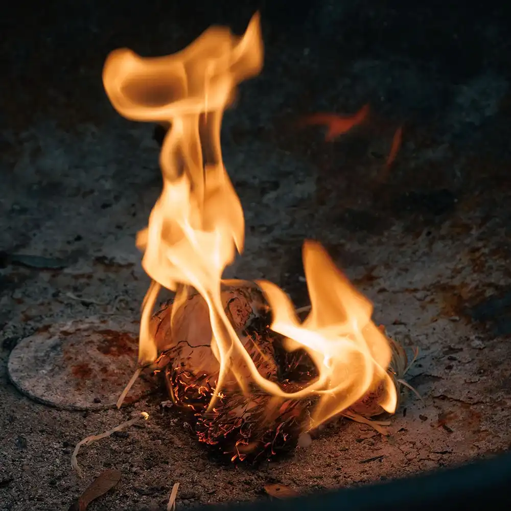 Domestic firewood supply specialists.