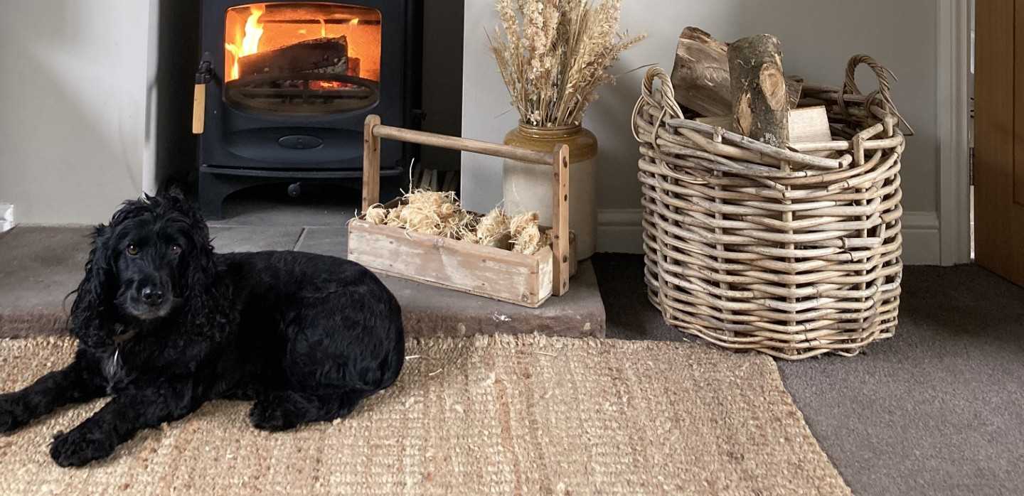Pet-Proof Your Firelit Evening: Keep Your Family Cosy and Your Pets Safe with Firewood.co.uk